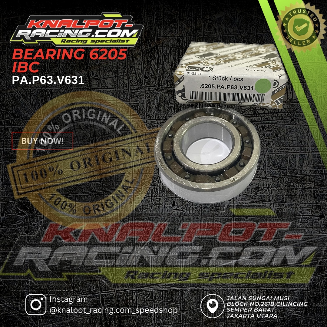 BEARING 6205 IBC PA.P63.V631